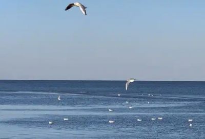 ​班级广播体操口号62句