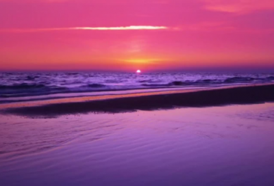 ​茶叶专业运动会口号 运动会口号