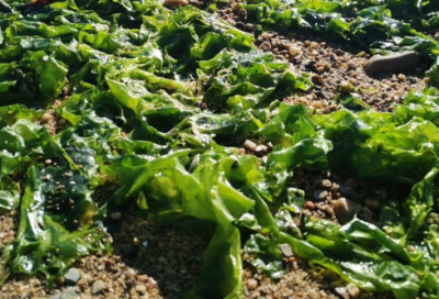 ​安全口号宣言 生产安全宣言个人口号