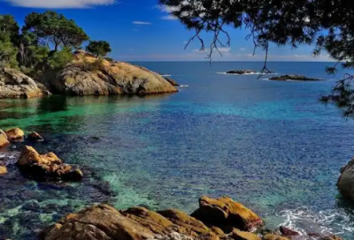 ​2025年学雷锋纪念日主题宣传标语口号