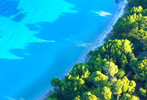 1764960204968651.png image.png