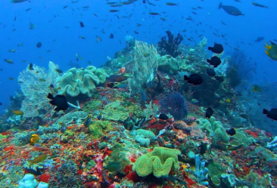 ​大学篮球赛宣传口号69句