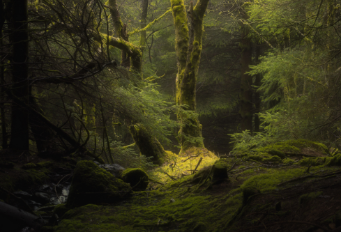 1764963692928736.png image.png