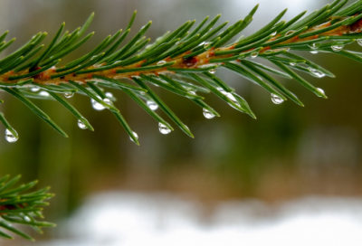 ​霸气班级口号8字84句