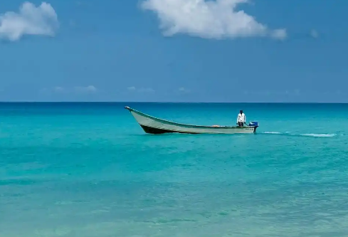 1764965352635475.png image.png