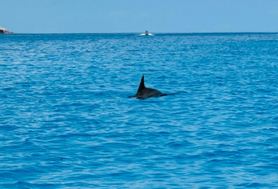 ​励志霸气口号大全字84句