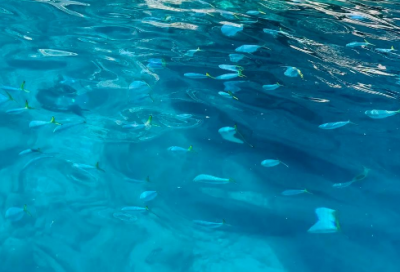 ​4字口号大全84句