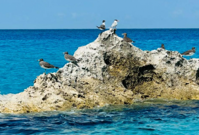 ​电力企业优质服务口号66句