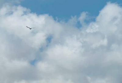 ​创意押韵运动会口号 创意亲子运动会口号