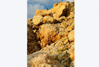 ​餐厅杜绝浪费宣传标语口号2025