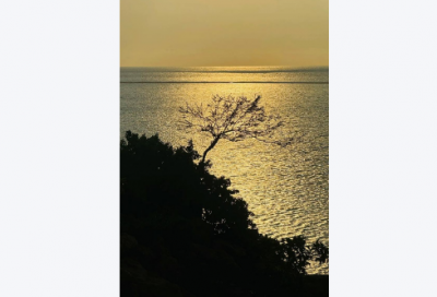 ​2025年度经典正能量团队口号 霸气押韵团队口号