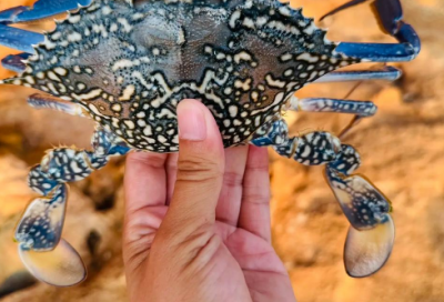 ​安全宣传条幅标语 电梯安全宣传月条幅标语