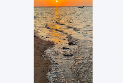 ​实验标语 实验教室标语