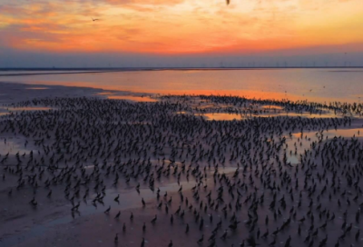 ​描述服务的口号 志愿服务口号