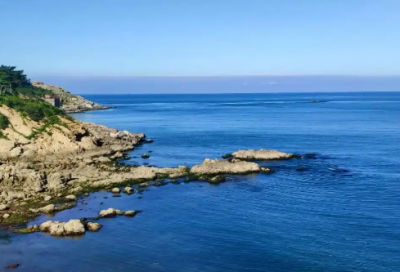 ​2025幼儿园植树节绿色标语最新大全