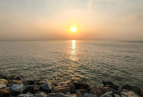 1764975315670473.png image.png