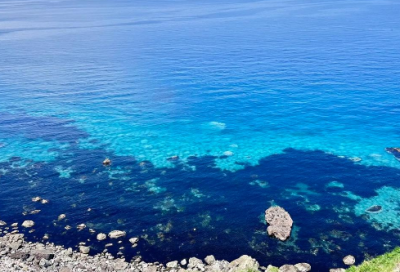 ​幼儿运动会口号简短霸气