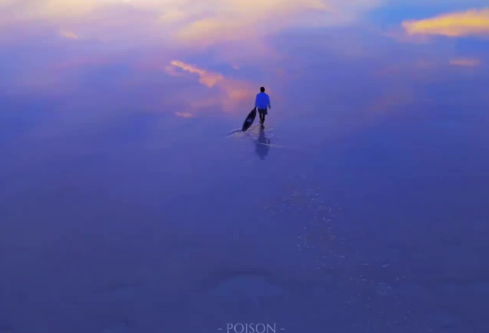 1764988433937069.png image.png