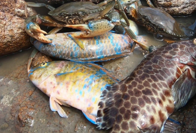 ​温馨安全用气的宣传标语(接地气的安全宣传标语)