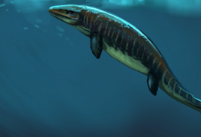 ​禁止吸烟的标语52句