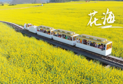 ​创意安全标语四字82句