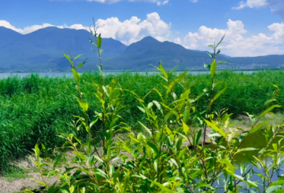 ​计算机学院运动会口号16字