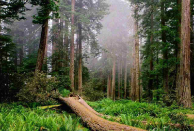 ​在学校的禁烟标语56句