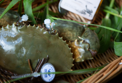 ​班级口号霸气押韵8字82句