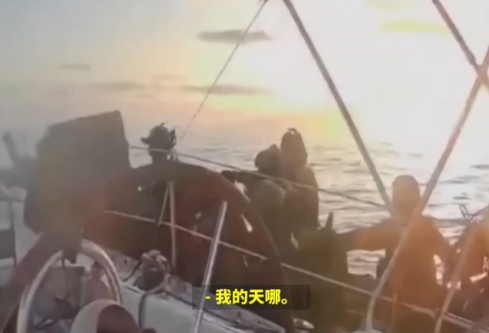 1765000394184781.png image.png