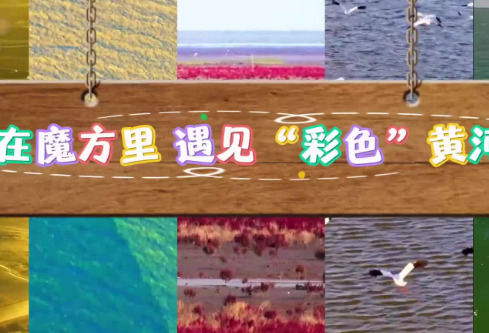 1765002387350932.png image.png