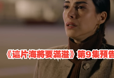 1765003051837531.png image.png