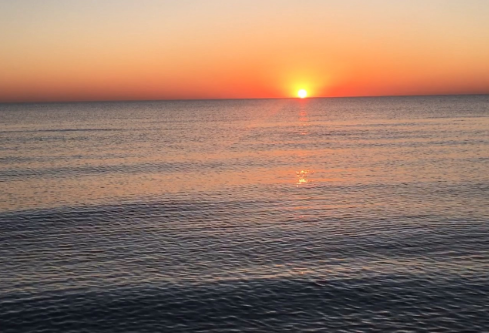 1765004712571735.png image.png