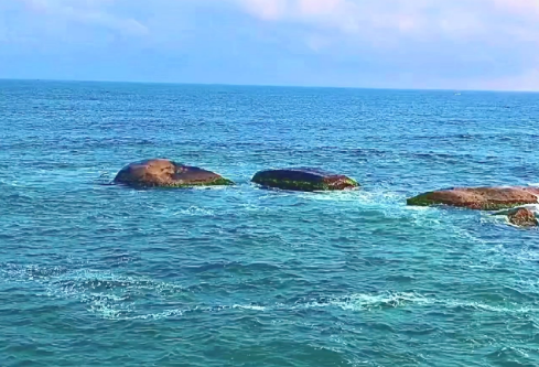 1765007535698337.png image.png