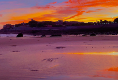 ​2025年光盘行动幽默标语