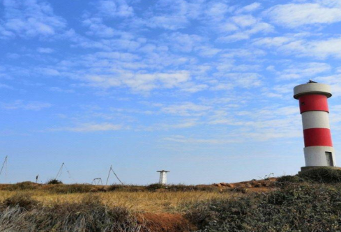 1765010523511683.png image.png