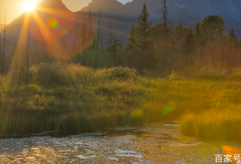 1765010855294860.png image.png