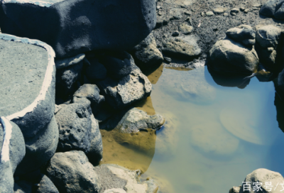 ​班级口号8字文艺81句