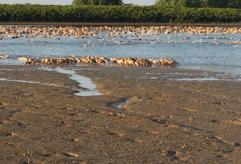 1765011519584873.png image.png