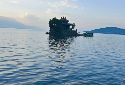 1765012017597091.png image.png