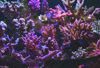 ​班级凝聚力强的口号 形容班级凝聚力的口号