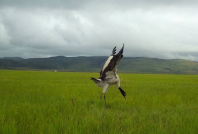 ​走廊文化标语大全
