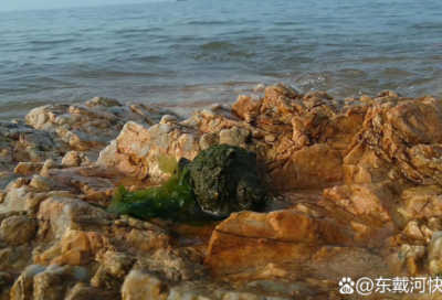 ​班级加油口号 为班级加油口号