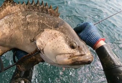 ​质量团队的口号 团队文化口号