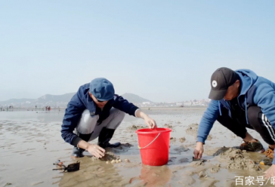 ​2025高三教室挂高考标语精选