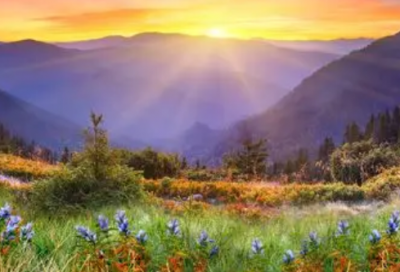 ​妇联“三八”宣传标语 妇联宣传标语内容精选