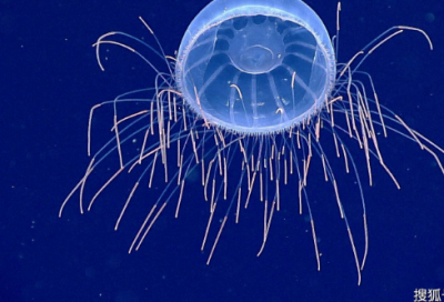 ​好的旅游口号大全 旅游口号大全