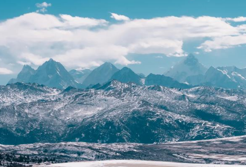 1765022812790006.png image.png