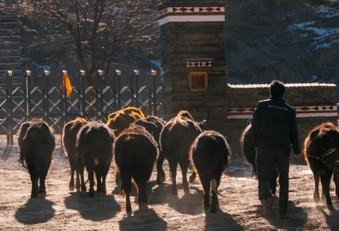 1765022978823953.png image.png