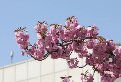 ​安全八字口号大全80句