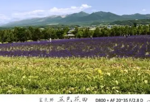 1765024971346013.png image.png